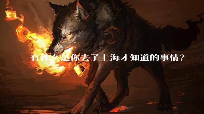 有什么是你去了上海才知道的事情？