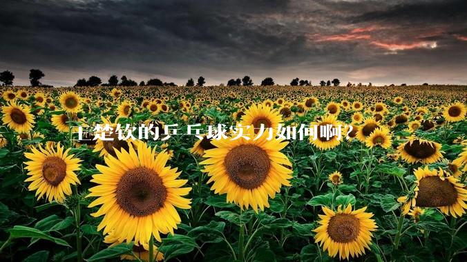 王楚钦的乒乓球实力如何啊？
