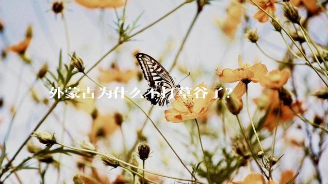 外蒙古为什么不打草谷了？